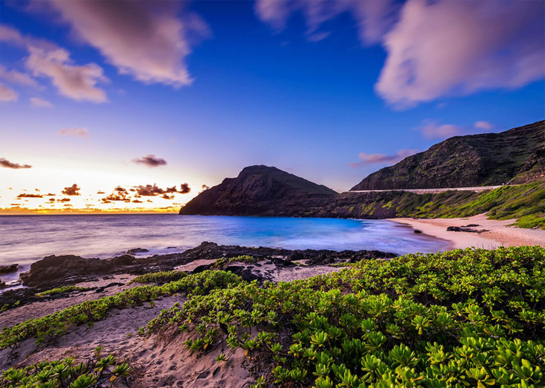 2026年オアフ島ラグジュアリー不動産 レポート 第4四半期