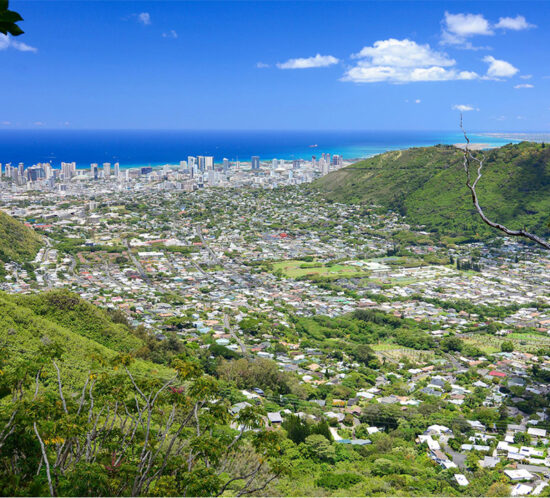 ２０２６年　3月オアフ島不動産の動向